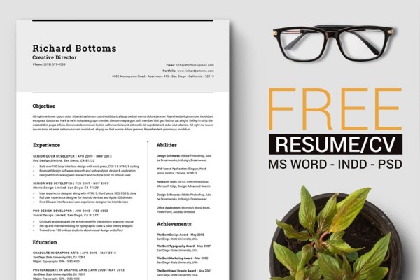 Free Timeless Resume Template - Graphic Designs